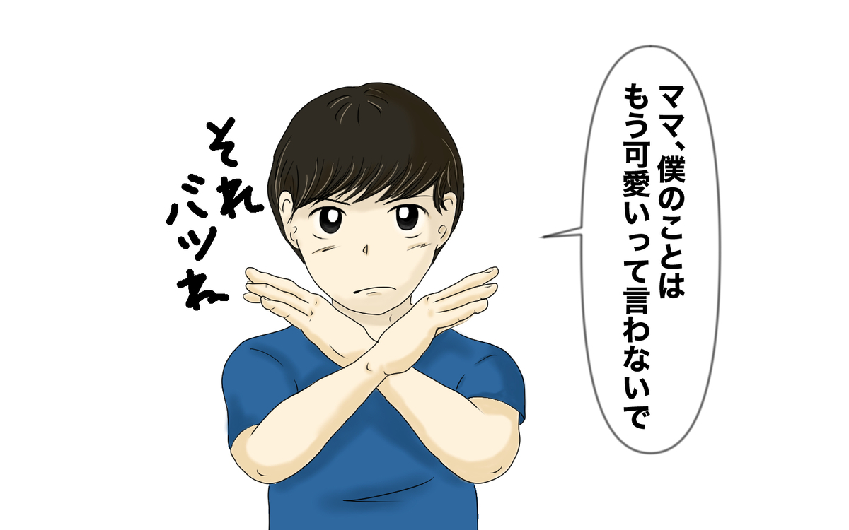 f:id:aomamadiary:20200925160156j:plain f:id:aomamadiary:20200925160156j:plain