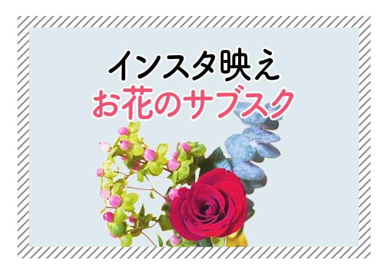 f:id:aomamadiary:20210117054720j:plain