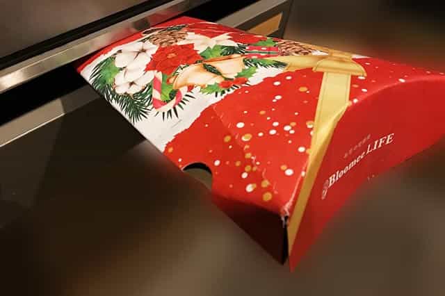 f:id:aomamadiary:20210117055105j:plain
