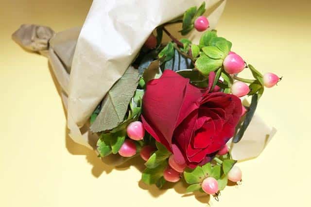 f:id:aomamadiary:20210117055704j:plain