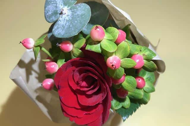 f:id:aomamadiary:20210117060238j:plain
