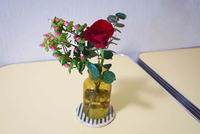 f:id:aomamadiary:20210117061232j:plain