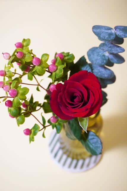 f:id:aomamadiary:20210117061252j:plain