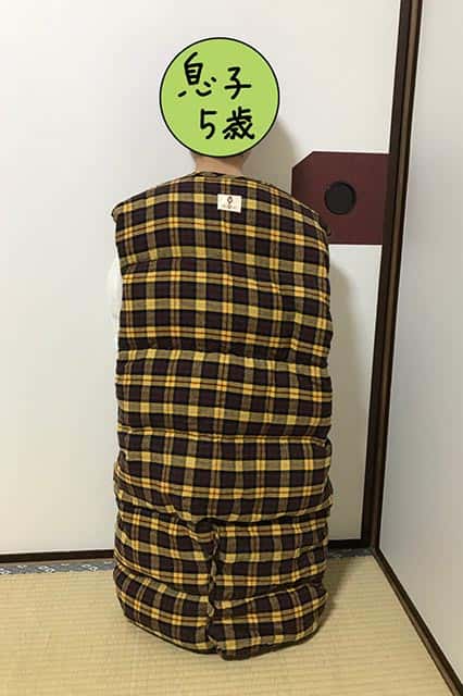 f:id:aomamadiary:20210121000705j:plain