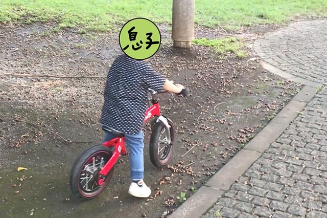 f:id:aomamadiary:20210122013001j:plain