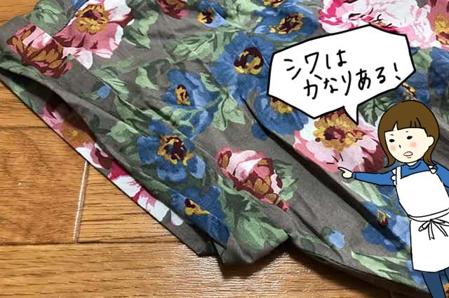 f:id:aomamadiary:20210211012150j:plain
