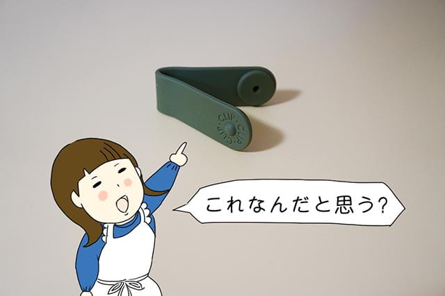 f:id:aomamadiary:20210226230403j:plain