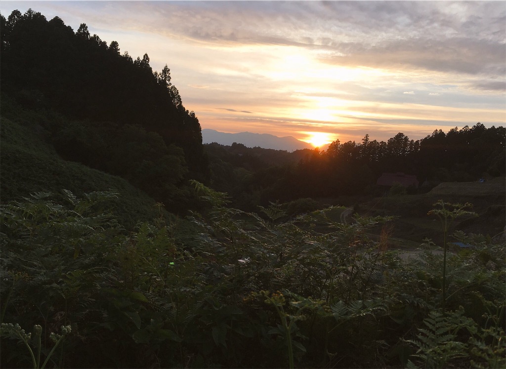 f:id:aomidorinomizu:20170713105911j:image f:id:aomidorinomizu:20170713105911j:image