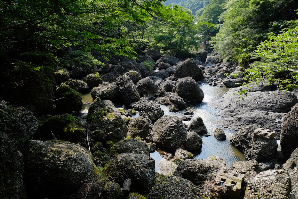 f:id:aomidorinomizu:20170713111131j:image f:id:aomidorinomizu:20170713111131j:image