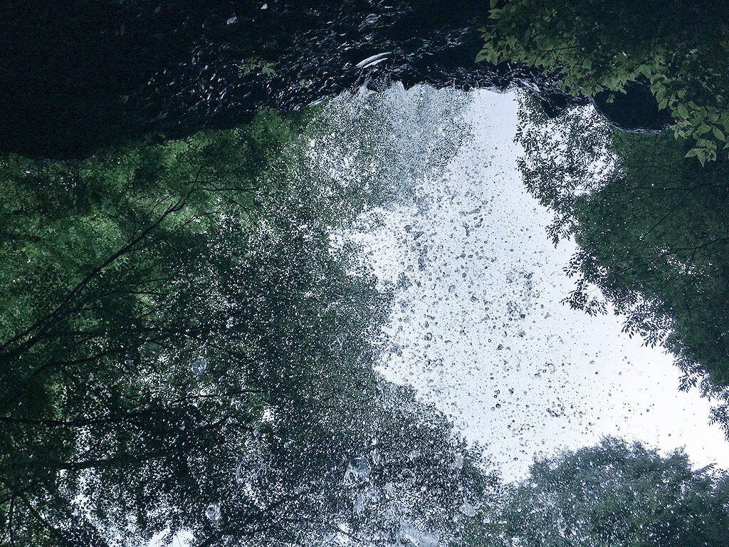 f:id:aomidorinomizu:20170713112809j:image f:id:aomidorinomizu:20170713112809j:image