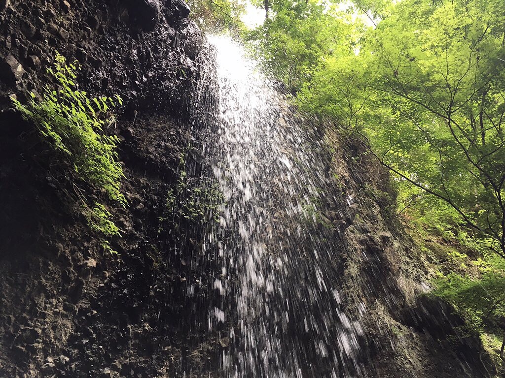 f:id:aomidorinomizu:20170713112837j:image f:id:aomidorinomizu:20170713112837j:image