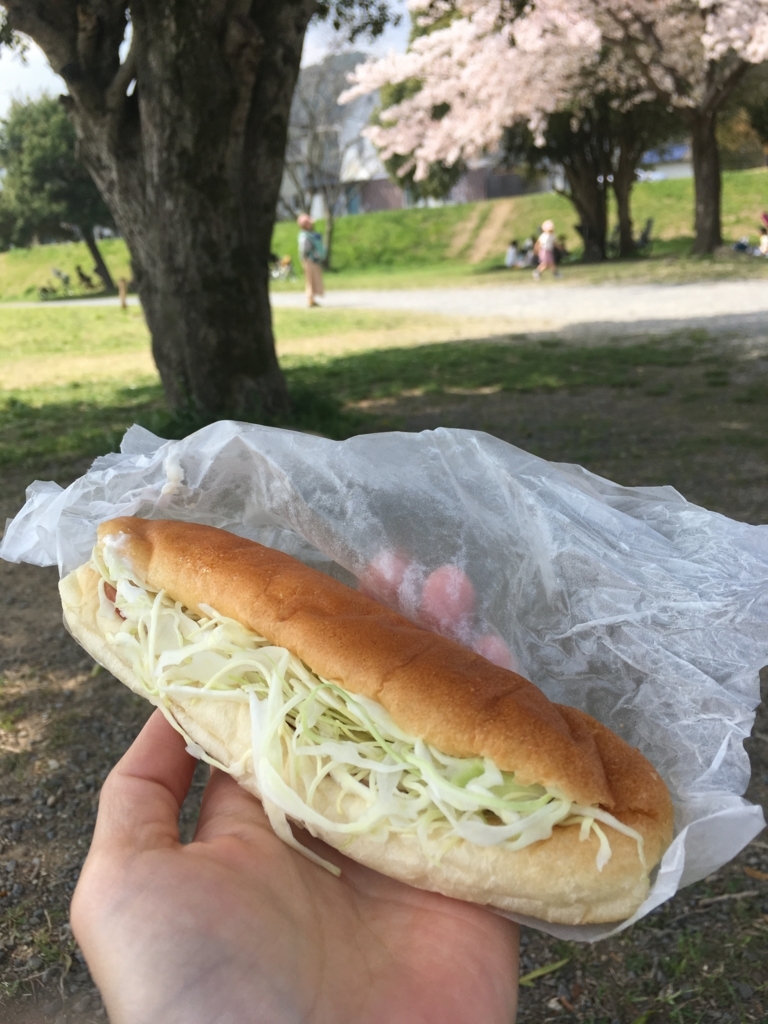 f:id:aomisayu:20180404074742j:plain