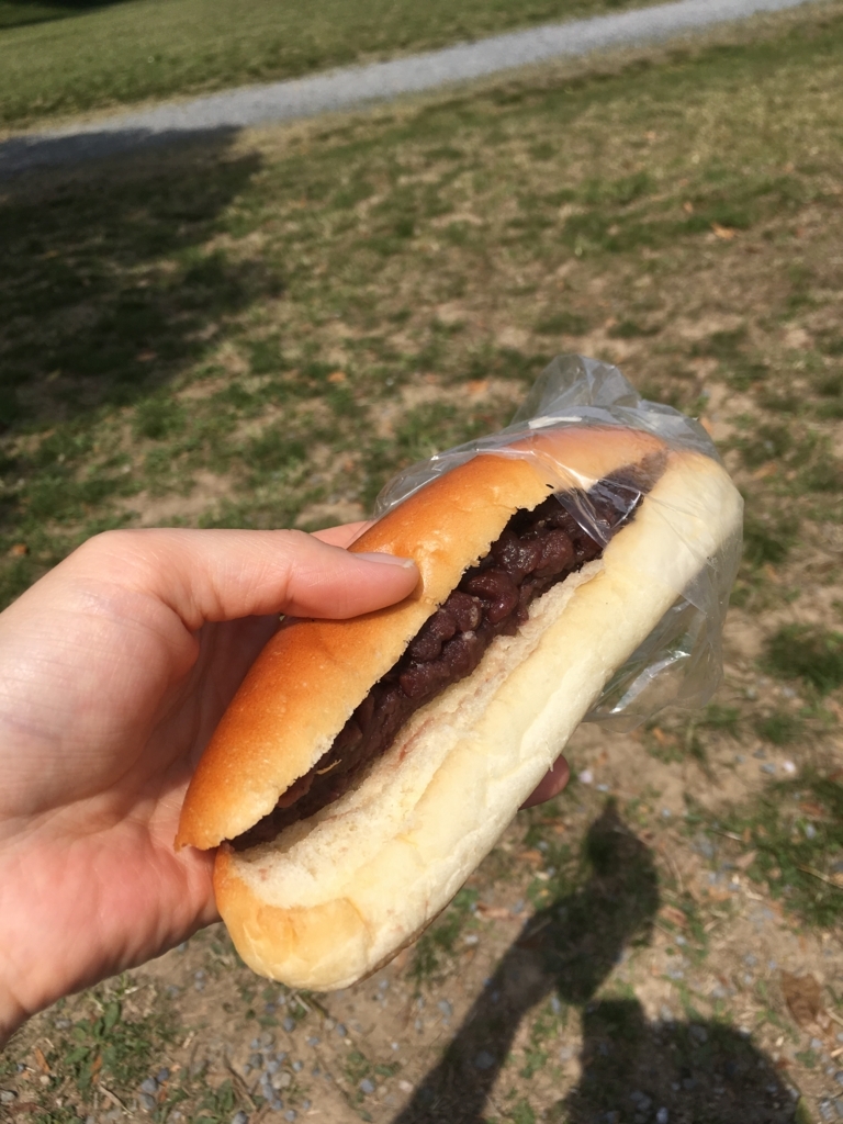f:id:aomisayu:20180404075124j:plain