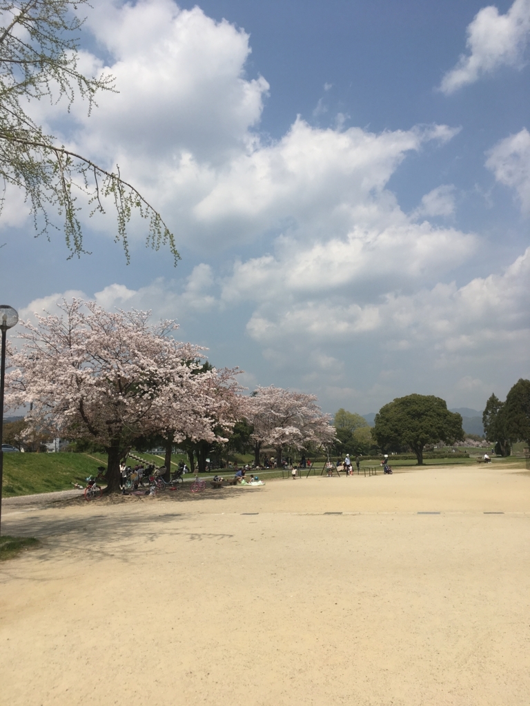 f:id:aomisayu:20180404075915j:plain