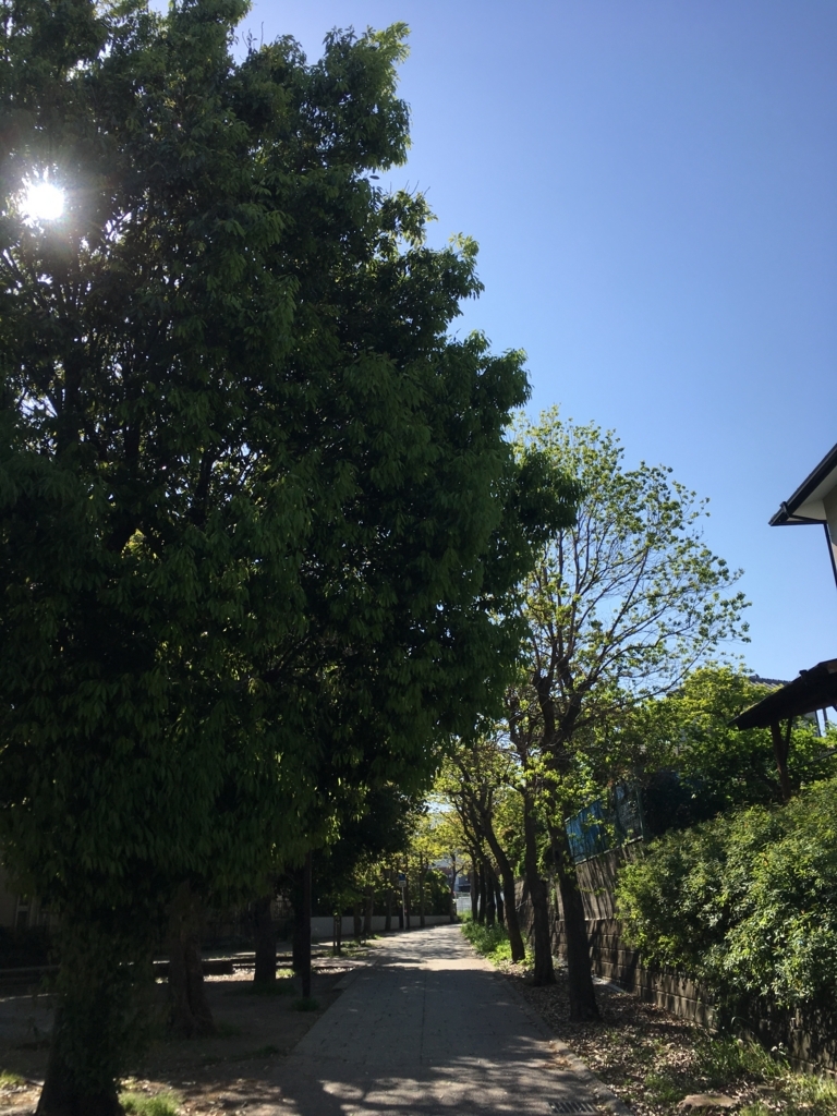 f:id:aomisayu:20180501035003j:plain