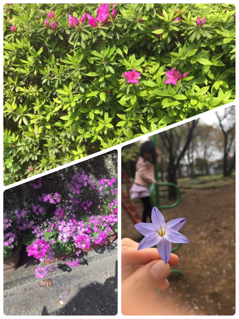f:id:aomisayu:20190420070504j:image