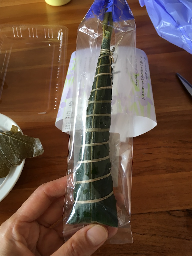 f:id:aomisayu:20190507124103j:image f:id:aomisayu:20190507124103j:image