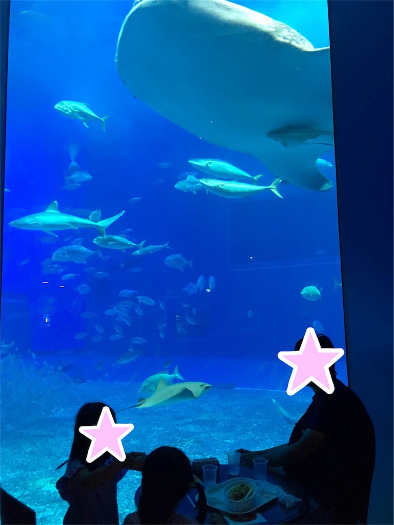 f:id:aomisayu:20190714151359j:image