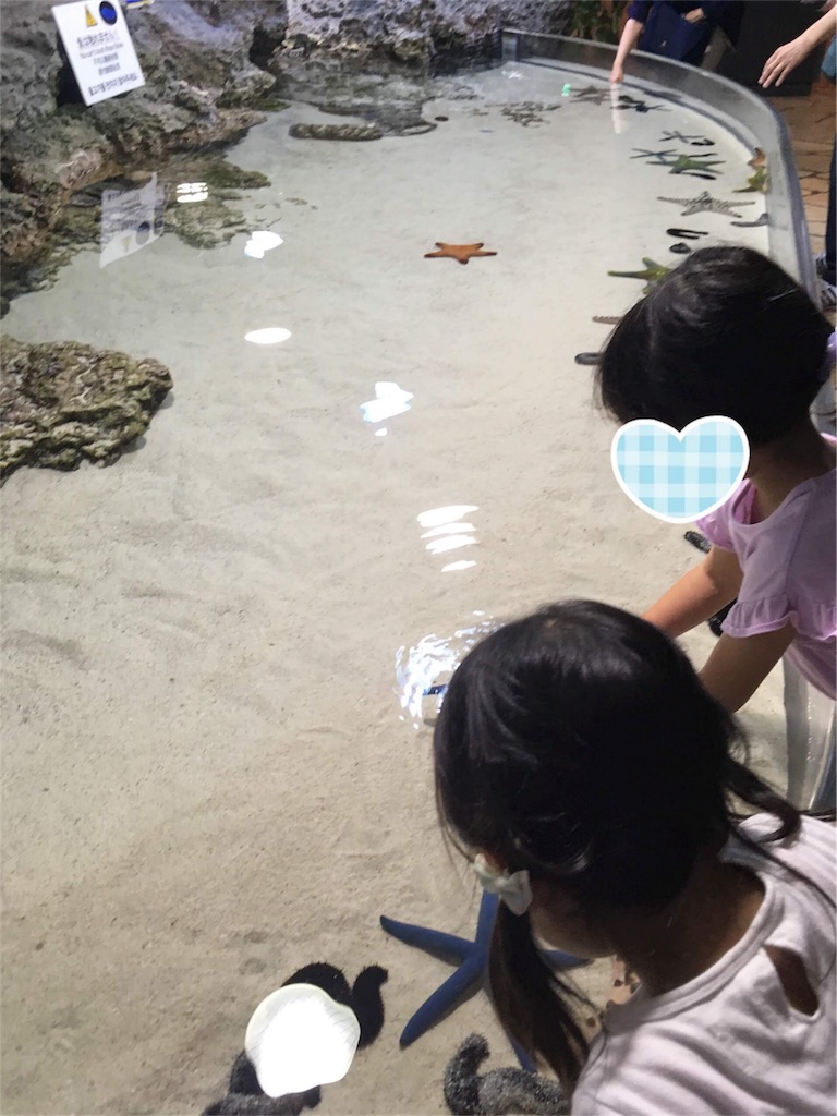 f:id:aomisayu:20190714151852j:image