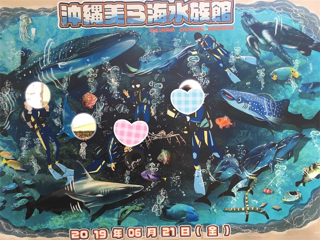 f:id:aomisayu:20190714152155j:image