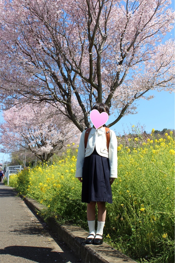 f:id:aomisayu:20200408082122j:image