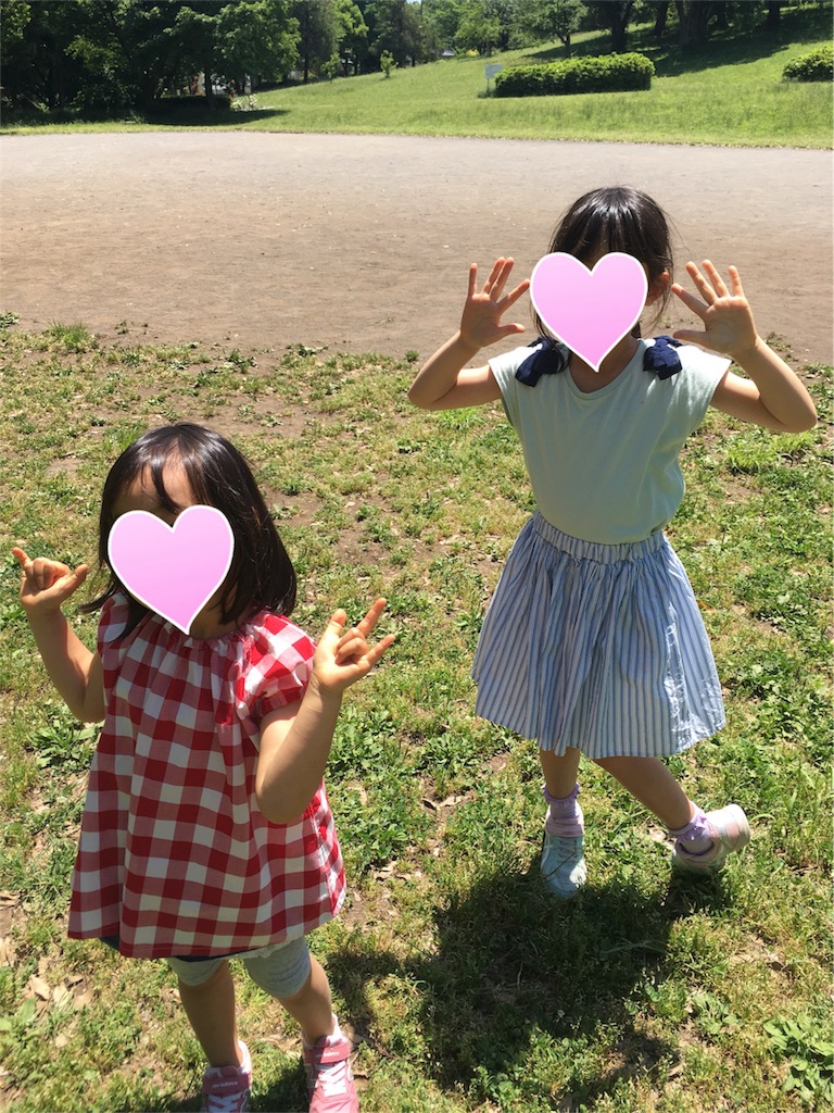 f:id:aomisayu:20200517064815j:image