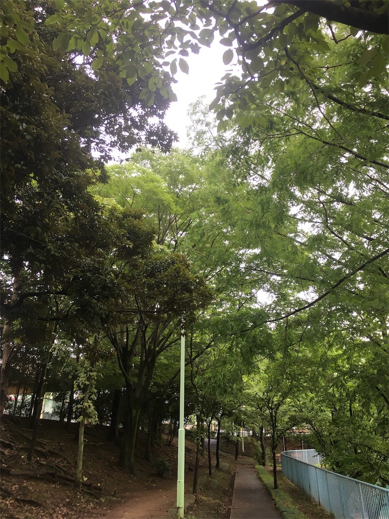 f:id:aomisayu:20200713162812j:plain
