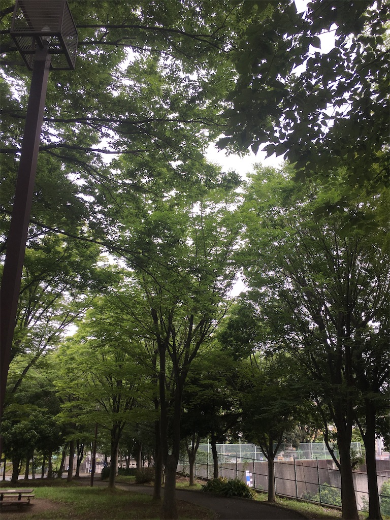 f:id:aomisayu:20200722090907j:plain f:id:aomisayu:20200722090907j:plain