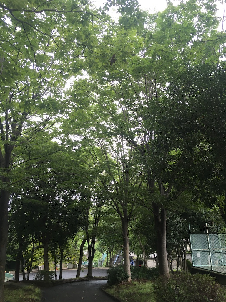 f:id:aomisayu:20200729111546j:plain f:id:aomisayu:20200729111546j:plain