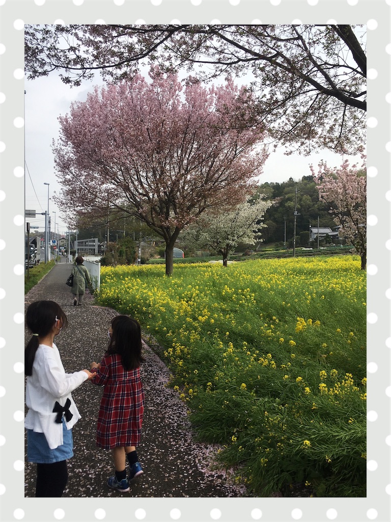f:id:aomisayu:20210403062723j:plain