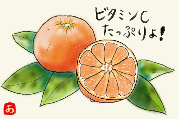 絵手紙 みかん 相貌失認がんばり隊