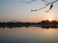 日の出　砂沼公園（茨城県下妻市）