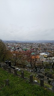 f:id:aomori_ikuji:20190502135600j:image f:id:aomori_ikuji:20190502135600j:image