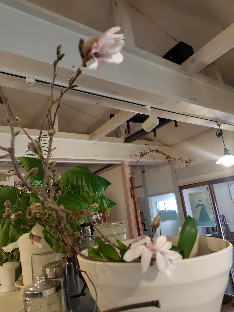 f:id:aomori_ikuji:20260406163401j:image
