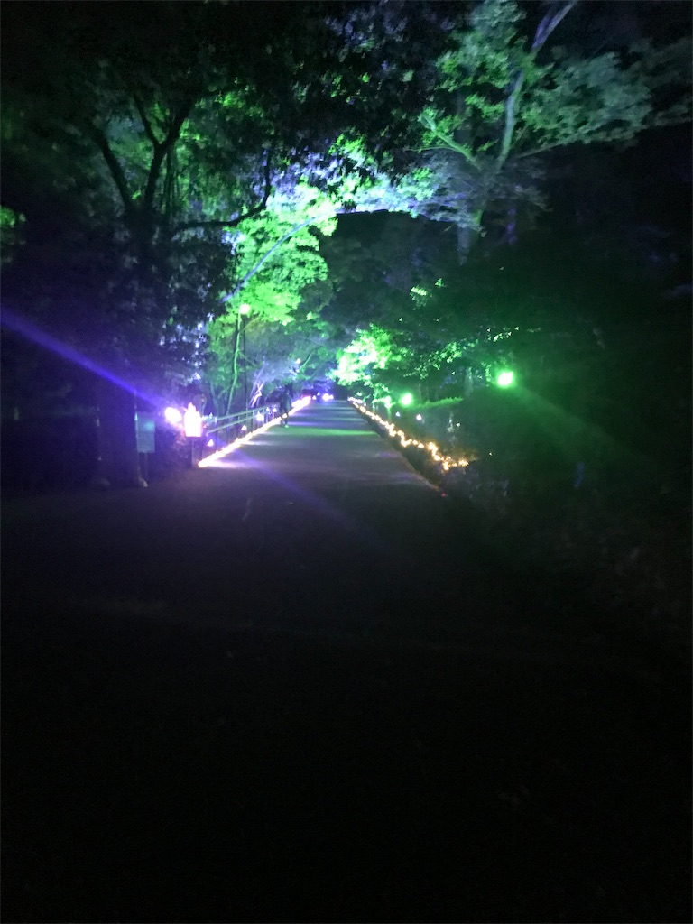 f:id:aomtt4816:20191106165322j:image f:id:aomtt4816:20191106165322j:image
