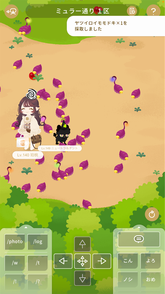 f:id:aomtt4816:20240401115151p:image