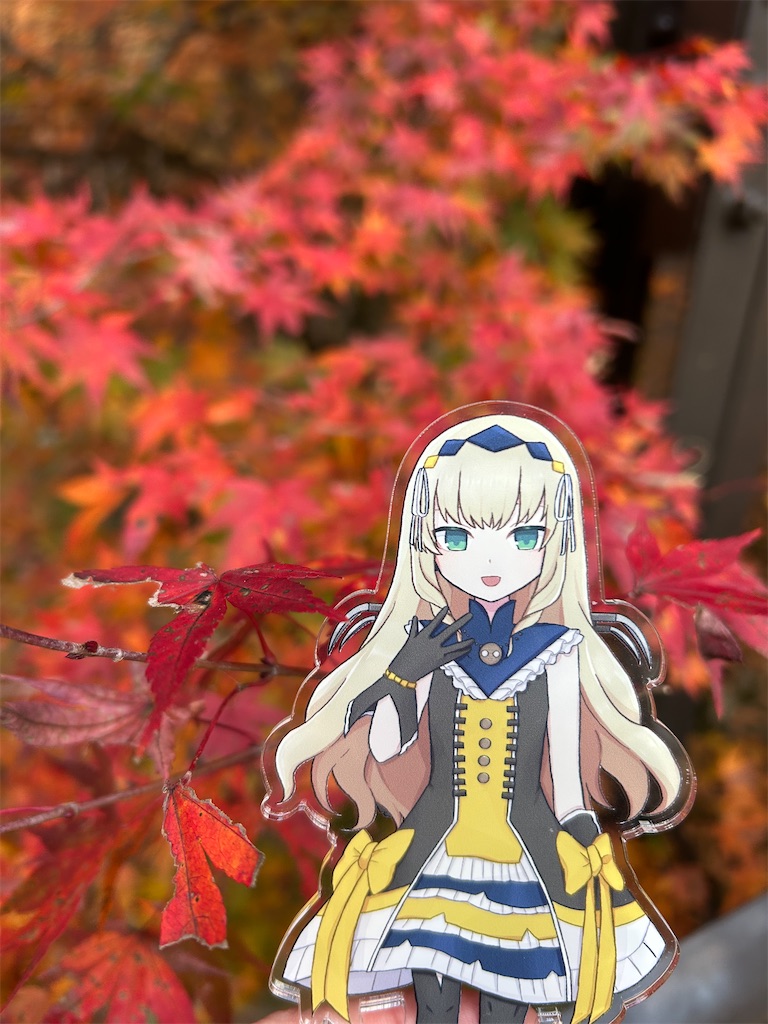 f:id:aomtt4816:20260107192047j:image