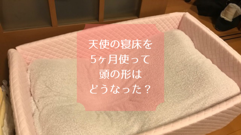 天使の寝床 を生後5ヶ月まで使って頭の形はどうなった あおむしぐらし 天使の寝床 を生後5ヶ月まで使って頭の形はどうなった あおむしぐらし