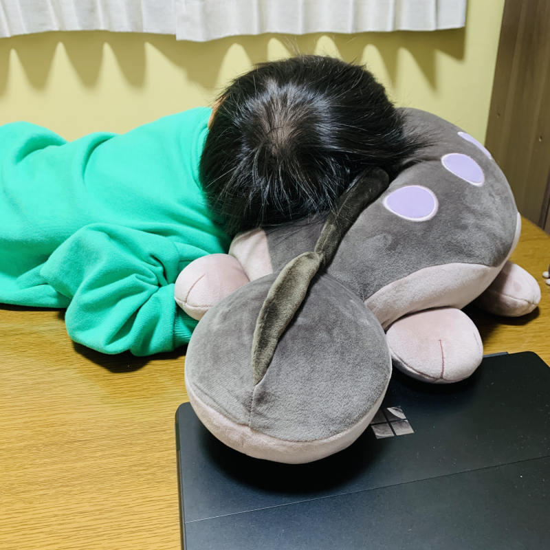 愛するドオーグッズを紹介します（ぽてはぐクッション、ポケモン