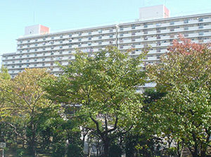 f:id:aon9:20061225170010j:image f:id:aon9:20061225170010j:image