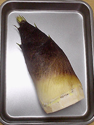 f:id:aon9:20090529152646j:image f:id:aon9:20090529152646j:image