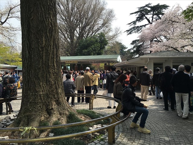 f:id:aonbo:20180326114547j:plain