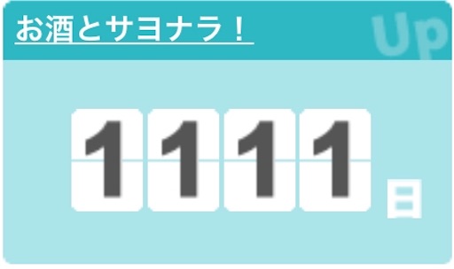 f:id:aonekoon:20180613224643j:plain f:id:aonekoon:20180613224643j:plain