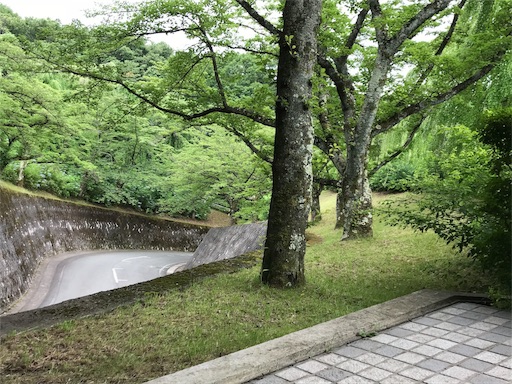 f:id:aonekoon:20180716211631j:image f:id:aonekoon:20180716211631j:image