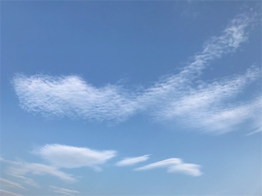 f:id:aonekoon:20180721215133j:image f:id:aonekoon:20180721215133j:image