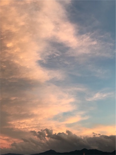 f:id:aonekoon:20180816203758j:image f:id:aonekoon:20180816203758j:image