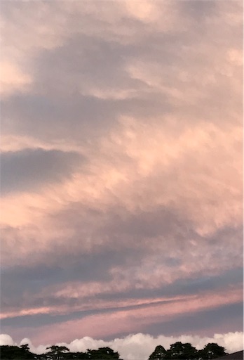 f:id:aonekoon:20180816203802j:image f:id:aonekoon:20180816203802j:image