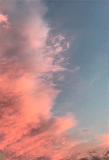f:id:aonekoon:20180816212610j:image f:id:aonekoon:20180816212610j:image