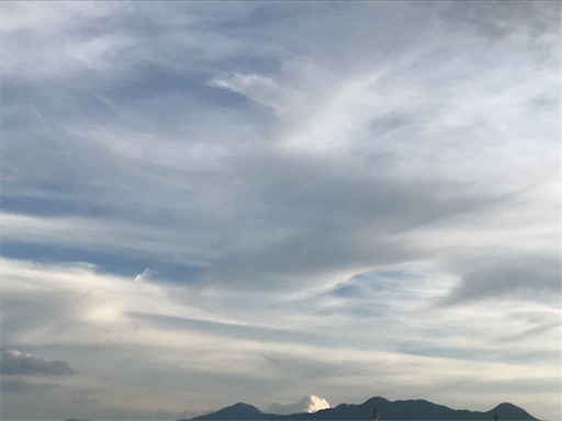 f:id:aonekoon:20180902055905j:image f:id:aonekoon:20180902055905j:image