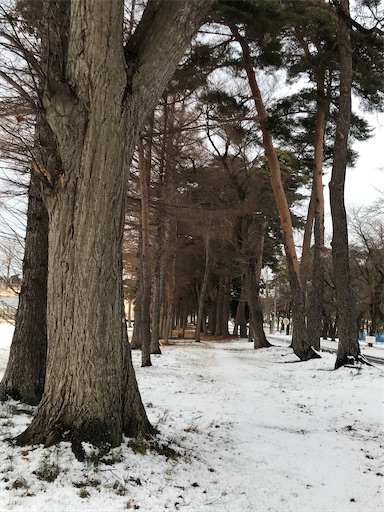 f:id:aonekoon:20191222200508j:image f:id:aonekoon:20191222200508j:image